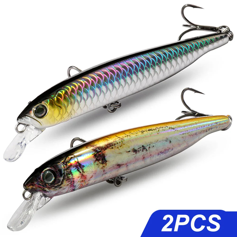 Saltwater Suspender Minnow Lure