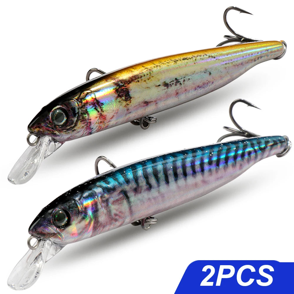 Saltwater Suspender Minnow Lure