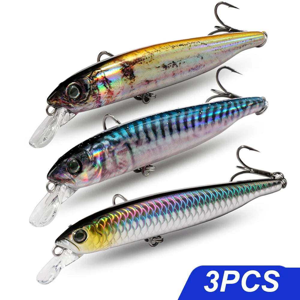 Saltwater Suspender Minnow Lure