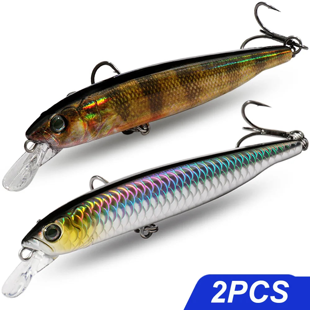 Saltwater Suspender Minnow Lure