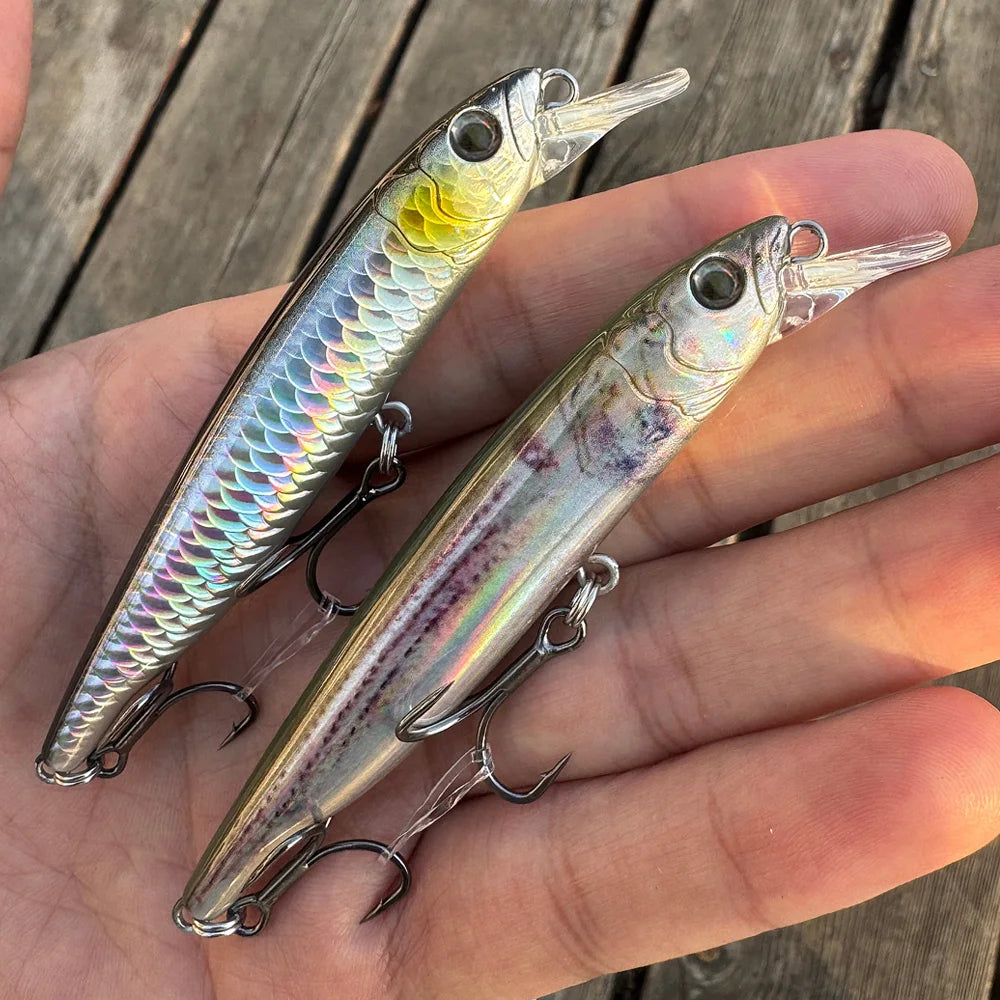 Saltwater Suspender Minnow Lure